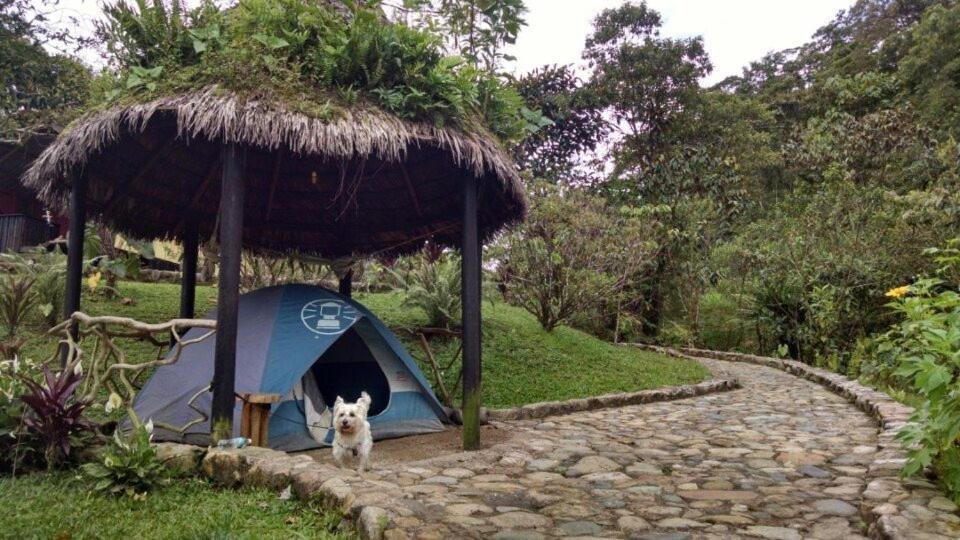 Finca De La Vaca - Family House Hotel Mera Kültér fotó